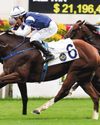 THE HEIR CAN DOUBLE THE DOSE FOR FULLY RECOVERED JOCKEY HO40