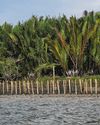 Singapore-led initiative launched to better protect, restore marine habitats for carbon credits28