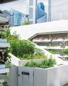'Moderator in nature': Edible Garden City's Bjorn Low wants to sow green ideas that will outlast him83