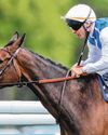 AVENTURE IS CALLING IN THE PRIX DE L’ARC DE TRIOMPHE IN PARIS60