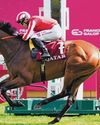 FIRST TASTE OF G1 SUCCESS FOR TRAINER GEORGE SCOTT The Straits Times