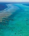 Conservation is China's newest weapon in the South China Sea The Straits Times