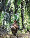 Singapore-listed palm oil stocks stand to gain as prices rise, ESG risks ease The Straits Times