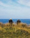 Redefining retirement: Insurance as a distinct asset class42