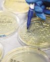 WHO warns about surge in spread of drug-resistant superbugs22