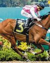 FOUNTAIN OF FAME LOOKS SET TO MAKE IT A DOUBLE The Straits Times