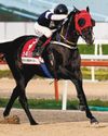 SPEED YOUNG EARNS 1ST G1 GONG IN PRESIDENT'S CUP42