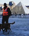 Police arrest 5 more suspects in Louvre heist; jewels still missing Police arrest 5 more suspects in Louvre heist; jewels still missing27