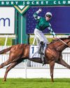 WELL WRITTEN GUINEAS FINALE38
