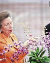 Britain's Princess Anne meets President Tharman, PM Wong at Istana32