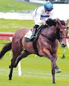 Tajana takes on the boys in Group 1 NZ 2000 Guineas58