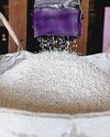 Thai rice prices surge on major orders from China and Singapore16