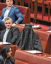 Australian senator suspended after burqa stunt in Parliament Australian senator suspended after burqa stunt in Parliament9