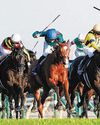 Calandagan wins Japan Cup57