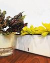 Use self-watering containers to hydrate plants when you are away60