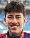 Foreign-heritage stars add international flavour60