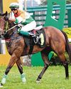 Baby Boss is showing great progress on training track Baby Boss is showing great progress on training track61