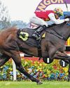 FOUR WINS IN A ROW ON THE CARDS FOR IRISH GOODBYE49