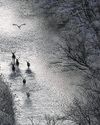 In nature photography, 'the lives of wild animals, birds and plants come first' In nature photography, 'the lives of wild animals, birds and plants come first'28