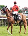 FAST AND FEARLESS IMPRESSES46