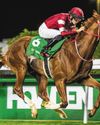 NEOM TURF CUP GAINS GROUP 1 STATUS IN 202645