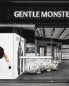 Gentle Monster takes legal action over alleged copycat shades55