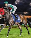 ALL SYSTEMS GO FOR 3YO CAFFE FLORIAN'S GOSFORD GUINEAS TILT31