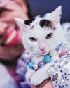 How to help cats with urinary problems How to help cats with urinary problems56