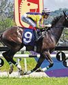 DUNDERDALE'S FRIGHT CAN START THE NEW YEAR WITH A BANG49