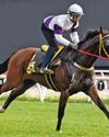 SLOW TRIALS BUT TOP SHOWINGS42