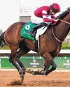 FOREVER YOUNG HEADLINES BLOCKBUSTER 2026 SAUDI CUP43