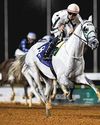 Al Khalediah gang-tackle $1.9 million Arabian feature Al Khalediah gang-tackle $1.9 million Arabian feature53