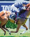 ANOTHER WIN FOR WESTERN ACE ON THE CARDS IN SOFT 3YO RACE51