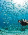 Curating different experiences for guests56