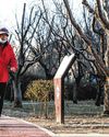 ‘Are You Dead?’: Viral app reflects quiet anxiety of living alone in China16
