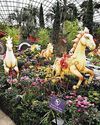 Galloping into the Year of the Horse with lineup of fun CNY festivities1