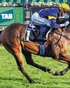 WAR MACHINE WELL OILED FOR G2 AUSTRALIA STAKES60