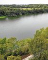 Paya Lebar redevelopment: Nature Society proposes keeping some green spaces3
