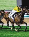 SHEIKH AHMED DUO GO FOR GOLD60