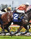 TUNKU GOLD CUP FOR KOK'S SPRINTER TUNKU GOLD CUP FOR KOK'S SPRINTER59