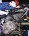 FRIDAY FRENZY FOR TWO TOP RACES HOTS THINGS UP54