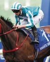 ROMANTIC WARRIOR ONE LEG AWAY FROM TRIPLE CROWN ROMANTIC WARRIOR ONE LEG AWAY FROM TRIPLE CROWN61