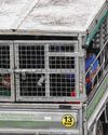 Ferrying workers in caged lorry decks banned from Jan 1, 2027 Ferrying workers in caged lorry decks banned from Jan 1, 202726