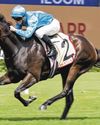 CHAYAN IS S'PORE'S BIG SHOT AT SLIPPER49