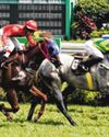 WELL-TIMED FIGHT GIVES YOUNG BREWER FIRST GROUP 1 SUCCESS48
