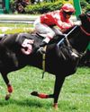 BANKER’S DOUBLE FOR JOHNNY LIM39