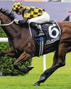 JOLIESTAR TARGETS ROYAL ASCOT AFTER TJ SMITH WIN38