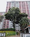 The Straits Times
