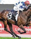 Whisky gets a shot at Sydney Cup50
