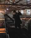 Pigs fed new menu as Beijing weans farms off US soya beans21